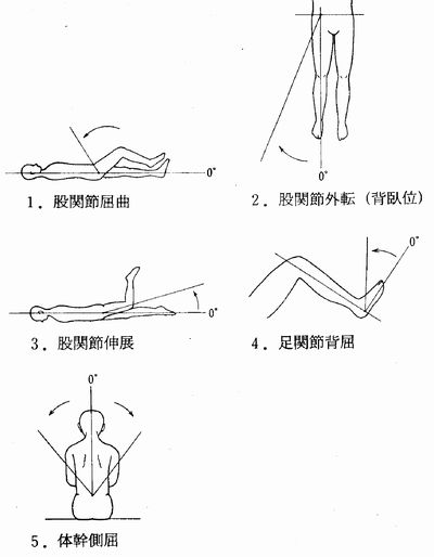 品質は非常に良い 関節可動域 未裁断 健康/医学 - theceliacscene.com