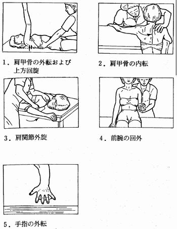 過去問題 | 理学療法士国家試験・作業療法士 国家試験対策 WEBで合格！