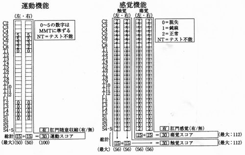 分類 フランケル